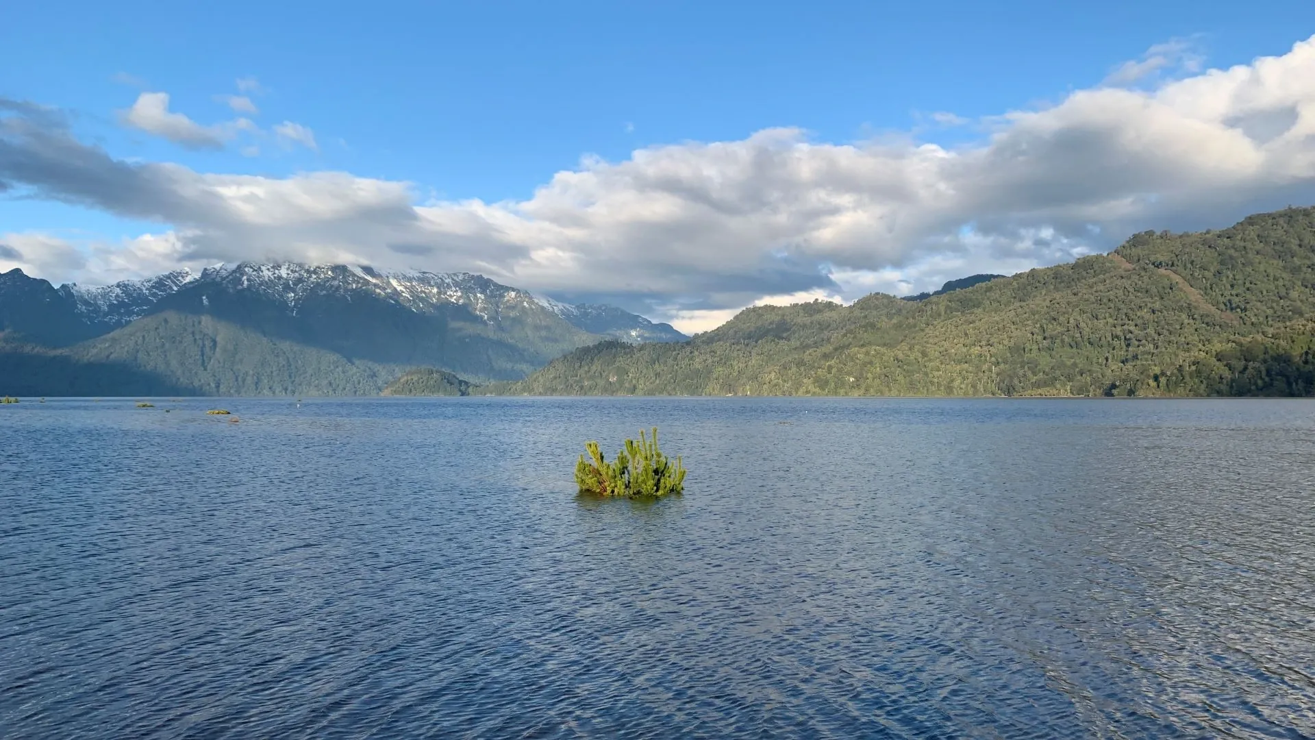 Ribera del Lago Chapo con vegetación nativa coigüe avellano alerce