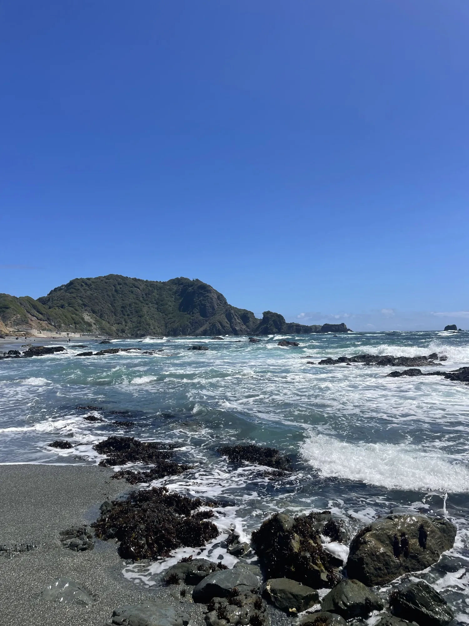 Playa Estaquilla costa patagónica arena gris Océano Pacífico sur Chile Los Lagos