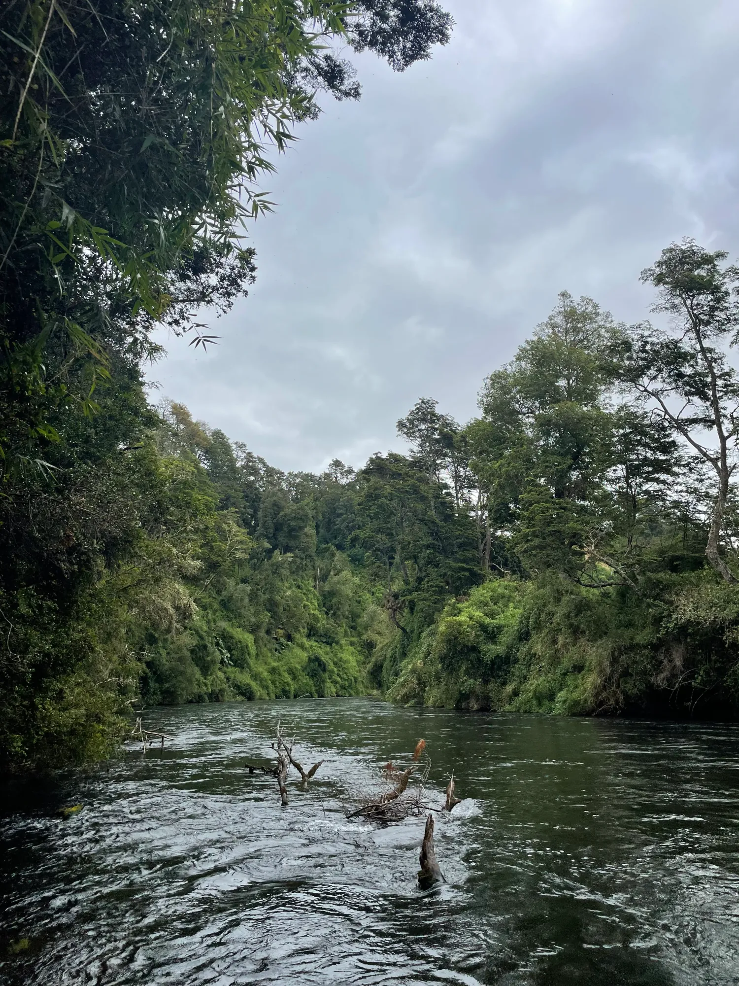 Río Maullín