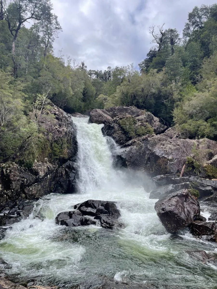 Cascada Alerce Andino